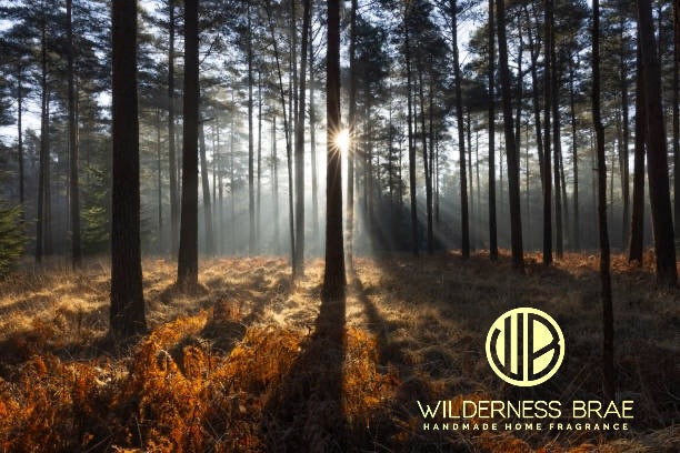 Wilderness Brae Self-Care Rituals- it's the little things that make a difference!