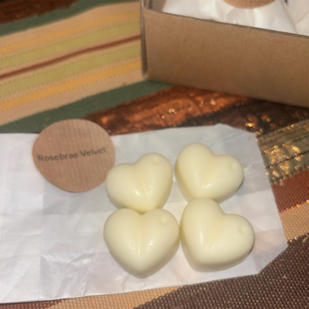 Scent Discovery Box