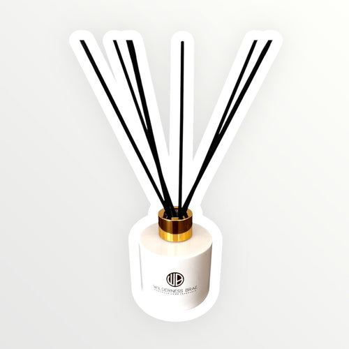 Diffuser with black sticks on a white background