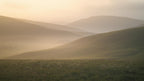 Hilly landscape with a soft, warm light at sunset.