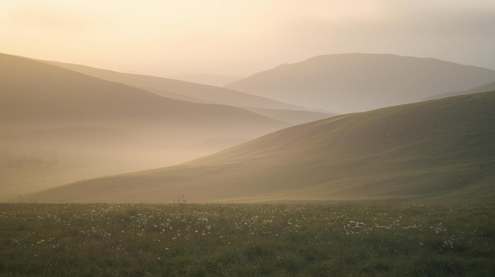Hilly landscape with a soft, warm light at sunset.